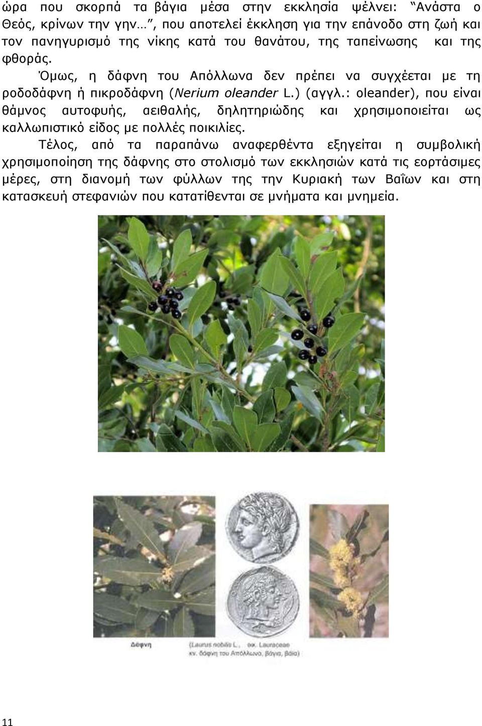 : oleander), που είναι θάμνος αυτοφυής, αειθαλής, δηλητηριώδης και χρησιμοποιείται ως καλλωπιστικό είδος με πολλές ποικιλίες.
