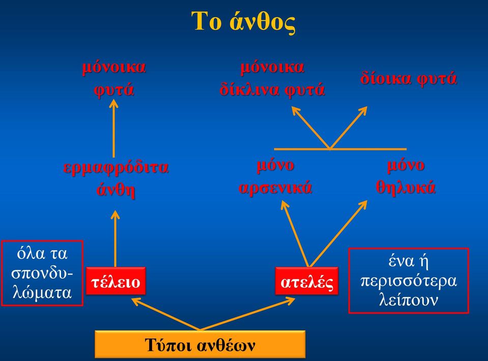 μόνο θηλυκά όλα τα σπονδυλώματα τέλειο