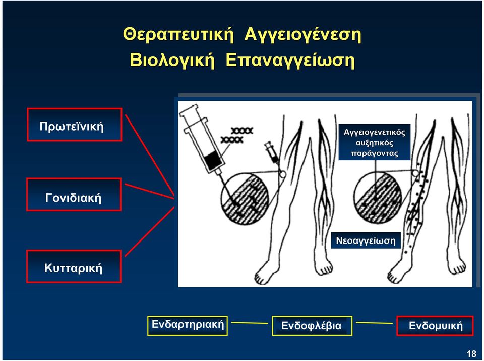 αυξητικός παράγοντας Γονιδιακή