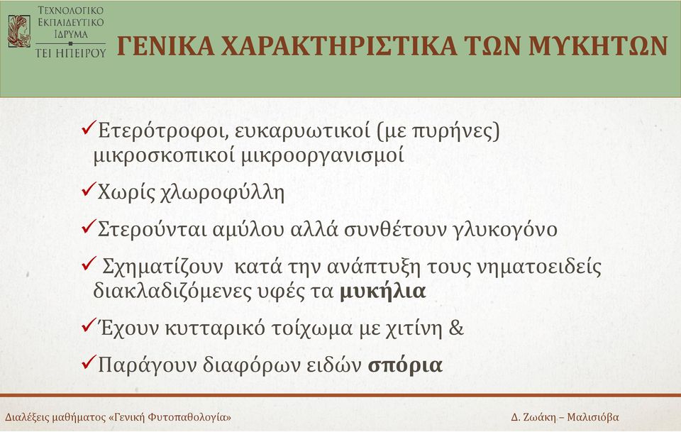 συνθέτουν γλυκογόνο Σχηματίζουν κατά την ανάπτυξη τους νηματοειδείς