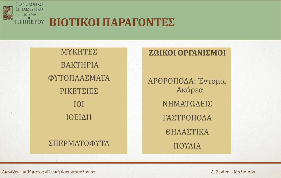 ΣΠΕΡΜΑΤΟΦΥΤΑ ΖΩΙΚΟΙ ΟΡΓΑΝΙΣΜΟΙ ΑΡΘΡΟΠΟΔΑ: