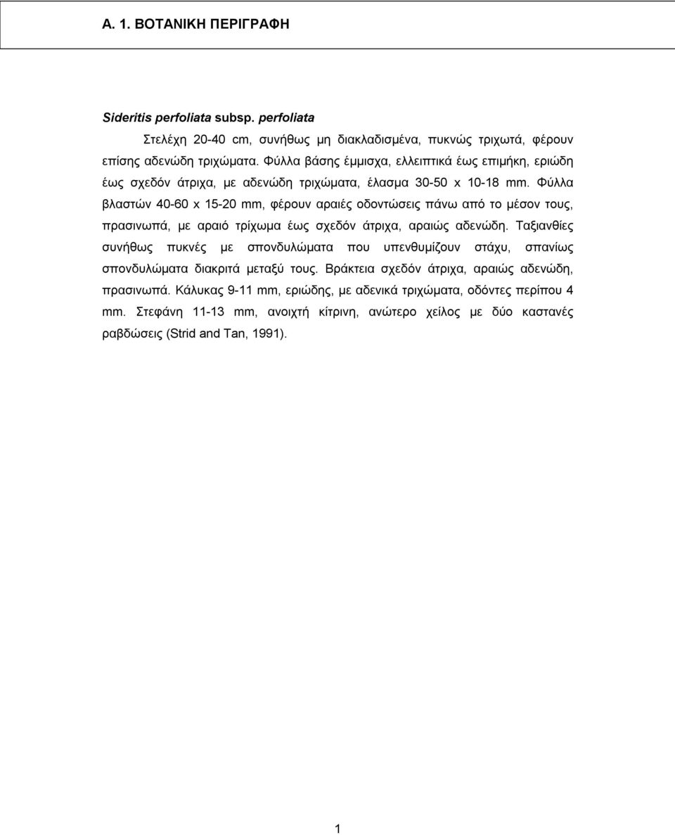 Φύλλα βλαστών 40-60 x 15-20 mm, φέρουν αραιές οδοντώσεις πάνω από το μέσον τους, πρασινωπά, με αραιό τρίχωμα έως σχεδόν άτριχα, αραιώς αδενώδη.