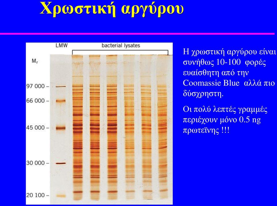 Coomassie Blue αλλά πιο δύσχρηστη.