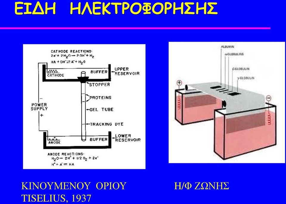 ΚΙΝΟΥΜΕΝΟΥ