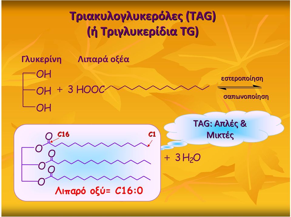 Λιπαρά οξέα + 3 HC C16 Λιπαρό οξύ=