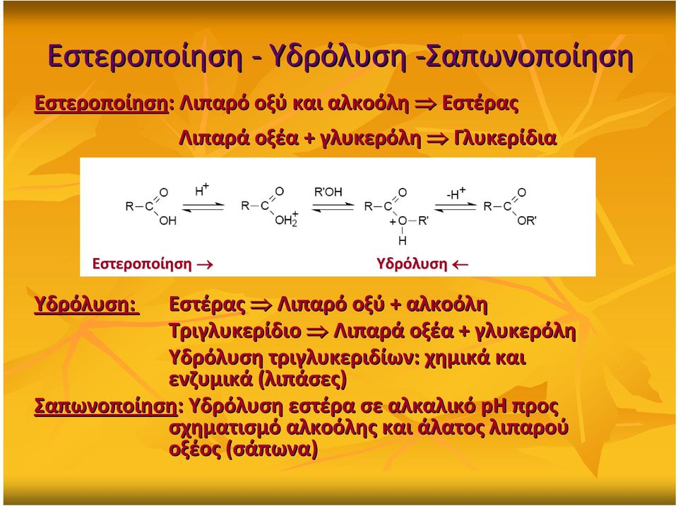 Τριγλυκερίδιο Λιπαρά οξέα + γλυκερόλη Υδρόλυση τριγλυκεριδίων: χημικά και ενζυμικά (λιπάσες)