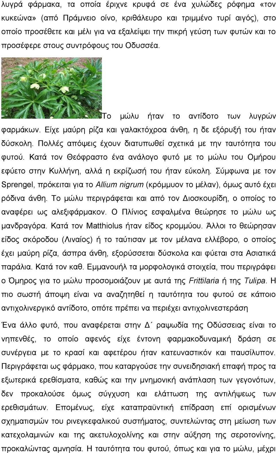 Πολλές απόψεις έχουν διατυπωθεί σχετικά με την ταυτότητα του φυτού. Κατά τον Θεόφραστο ένα ανάλογο φυτό με το μώλυ του Ομήρου εφύετο στην Κυλλήνη, αλλά η εκρίζωσή του ήταν εύκολη.