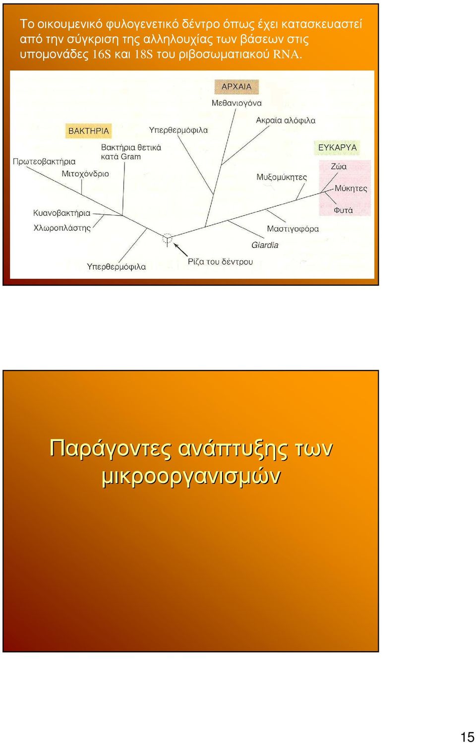 των βάσεων στις υποµονάδες 16S και 18S του