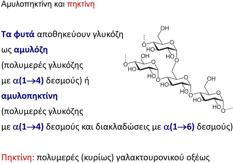 αμυλοπηκτίνη (πολυμερές γλυκόζης με a(1 4) δεσμούς και