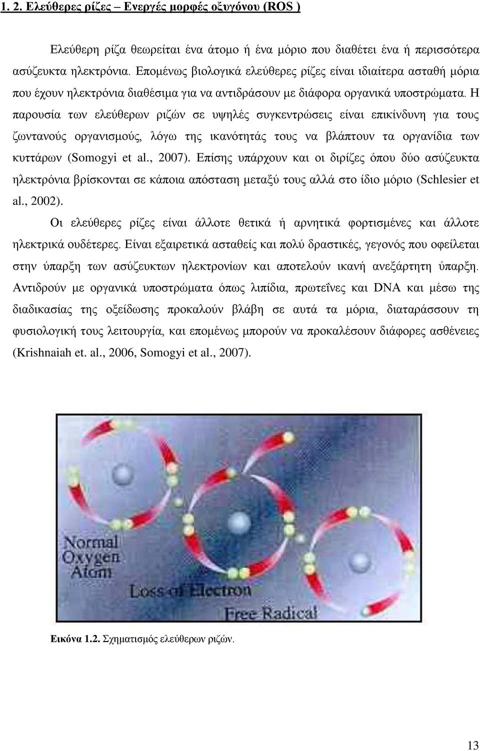 Η παρουσία των ελεύθερων ριζών σε υψηλές συγκεντρώσεις είναι επικίνδυνη για τους ζωντανούς οργανισμούς, λόγω της ικανότητάς τους να βλάπτουν τα οργανίδια των κυττάρων (Somogyi et al., 2007).