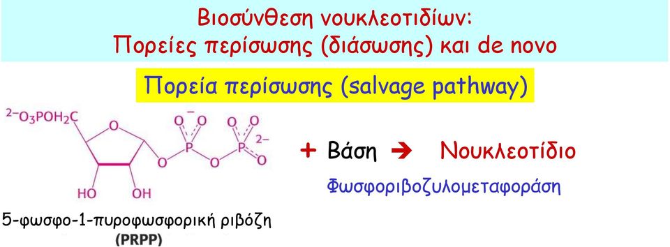 (salvage pathway) 5-φωσφο-1-πυροφωσφορική