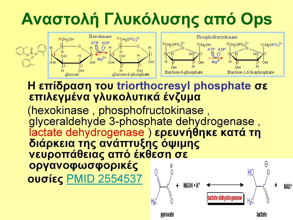 3-phosphate dehydrogenase, lactate dehydrogenase ) ερευνήθηκε κατά τη διάρκεια