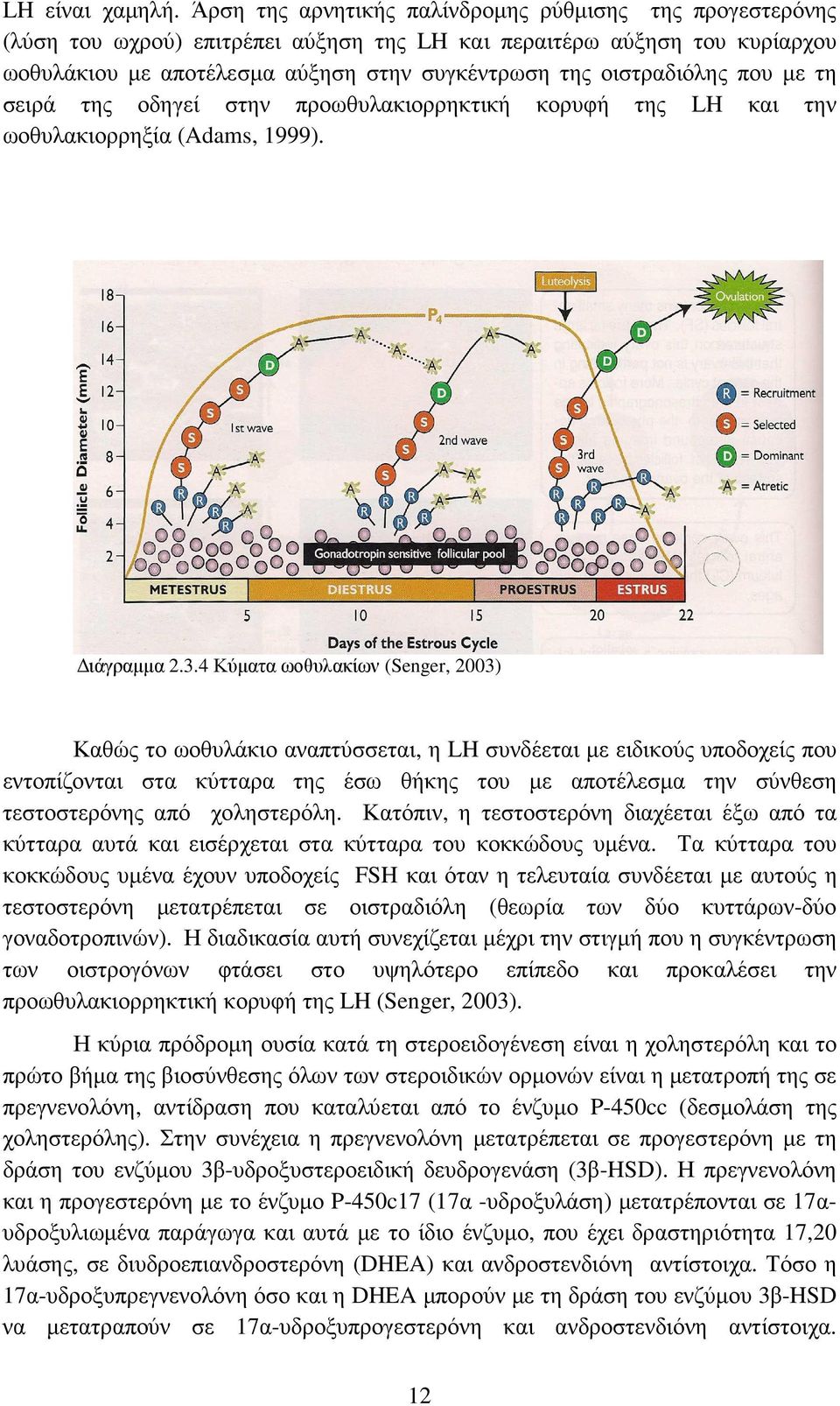 που µε τη σειρά της οδηγεί στην προωθυλακιορρηκτική κορυφή της LH και την ωοθυλακιορρηξία (Adams, 1999). ιάγραµµα 2.3.