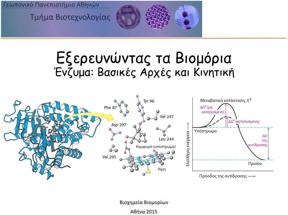 Βασικές Αρχές και