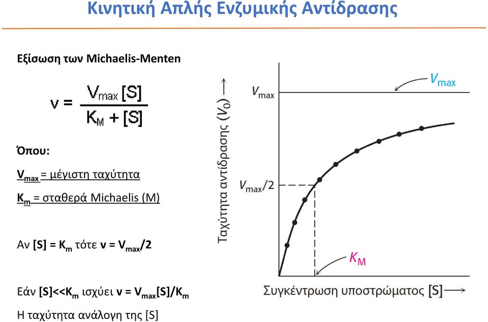 σταθερά Michaelis (M) Αν [S] = K m τότε v = V max /2