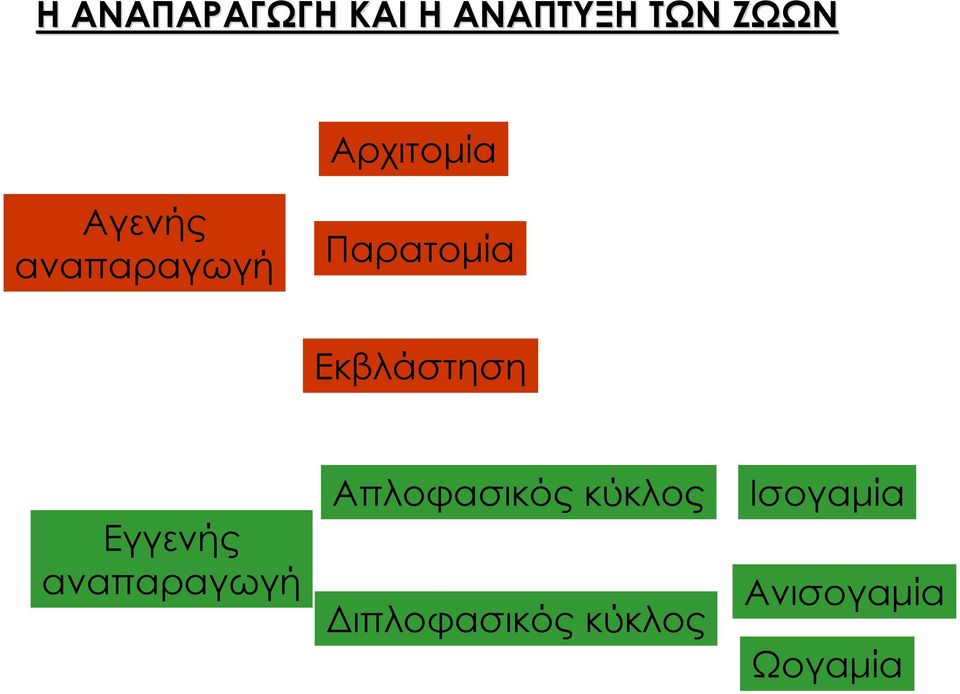 Εκβλάστηση Εγγενής αναπαραγωγή Απλοφασικός