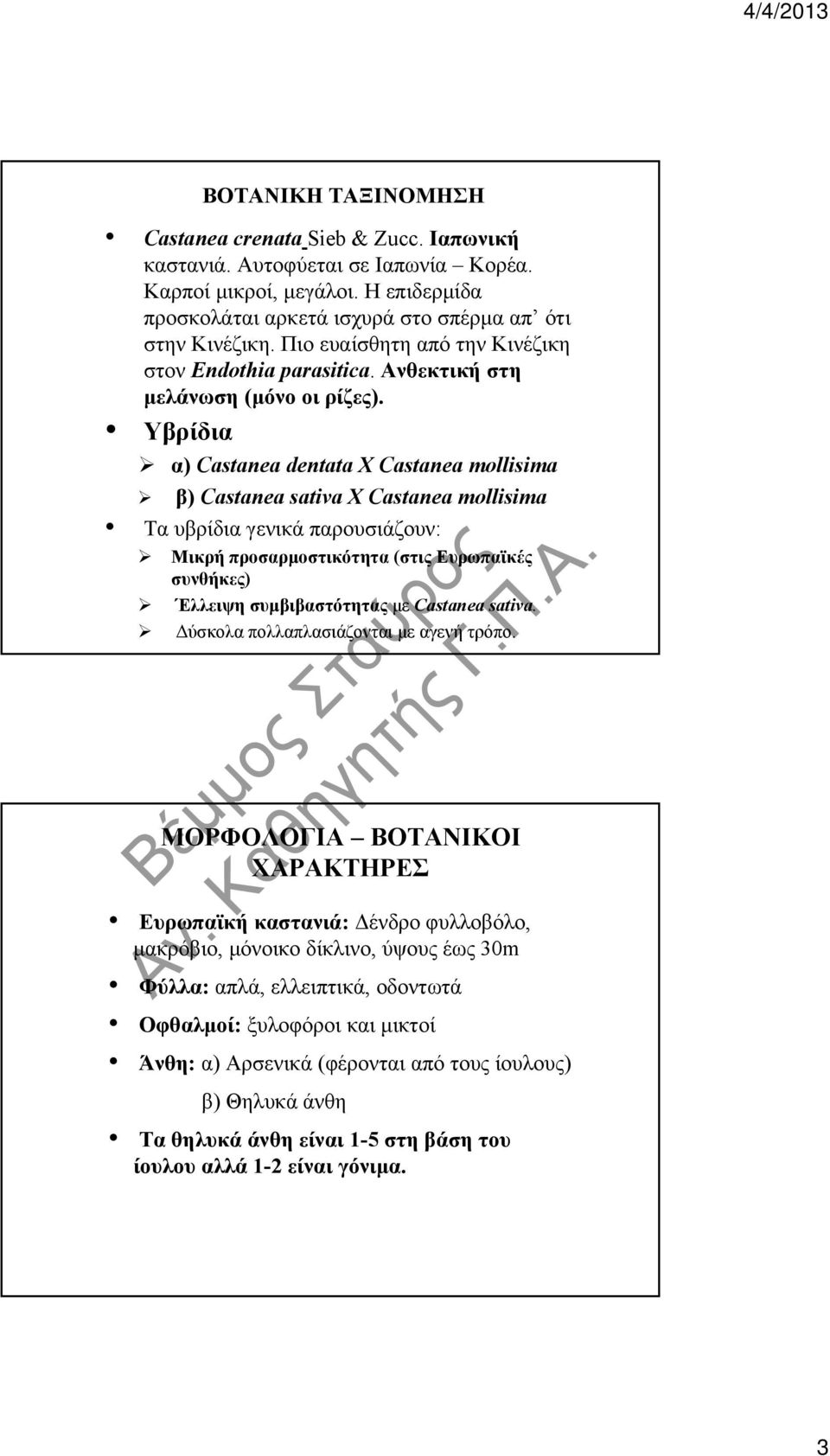 Υβρίδια α) Castanea dentata X Castanea mollisima β) Castanea sativa Χ Castanea mollisima Τα υβρίδια γενικά παρουσιάζουν: Μικρή προσαρμοστικότητα (στις Ευρωπαϊκές συνθήκες) Έλλειψη συμβιβαστότητας με