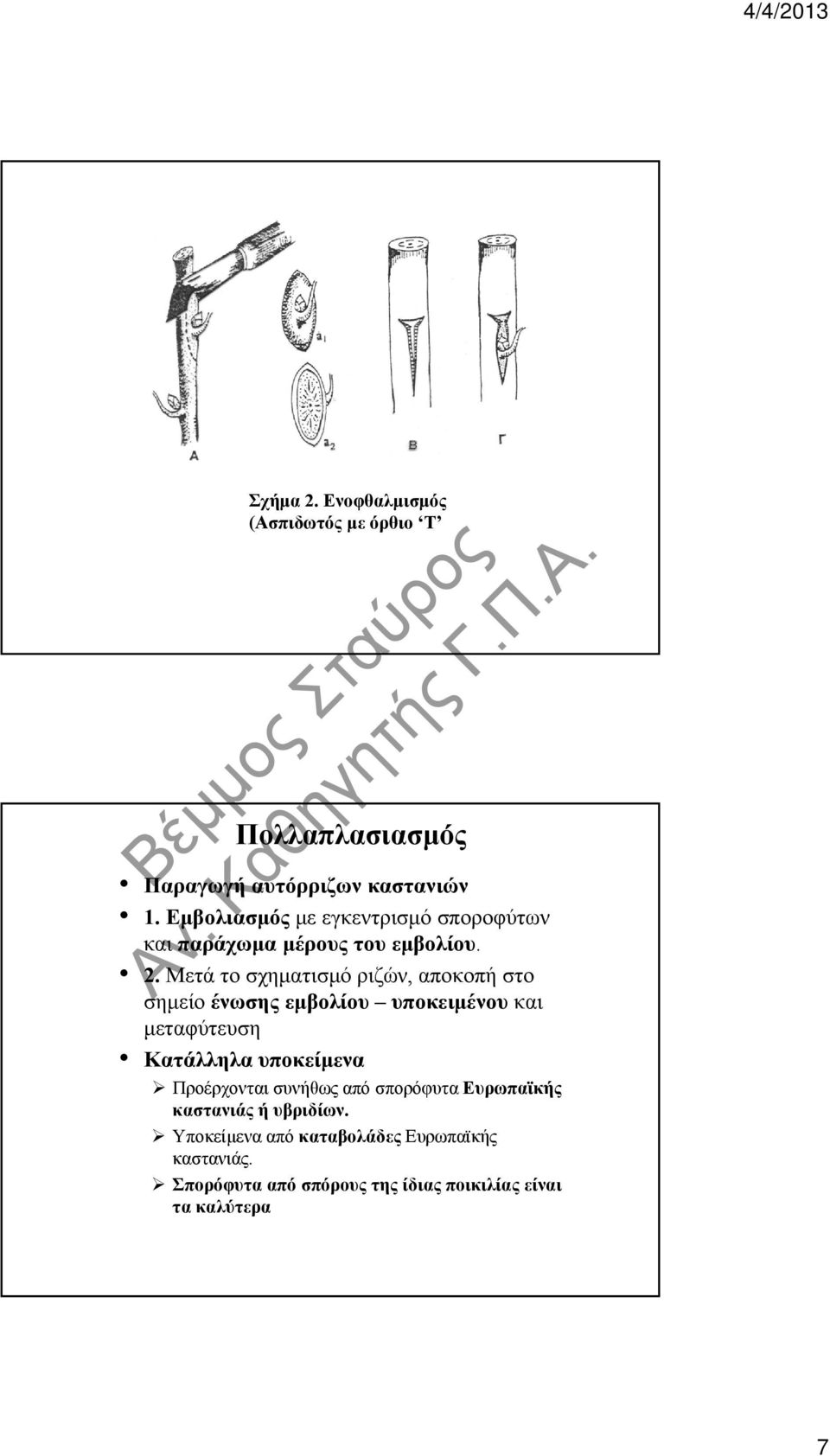 Μετά το σχηματισμό ριζών, αποκοπή στο σημείο ένωσης εμβολίου υποκειμένου και μεταφύτευση Κατάλληλα υποκείμενα