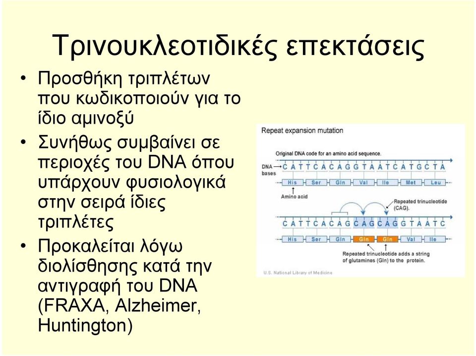 υπάρχουν φυσιολογικά στην σειρά ίδιες τριπλέτες Προκαλείται λόγω