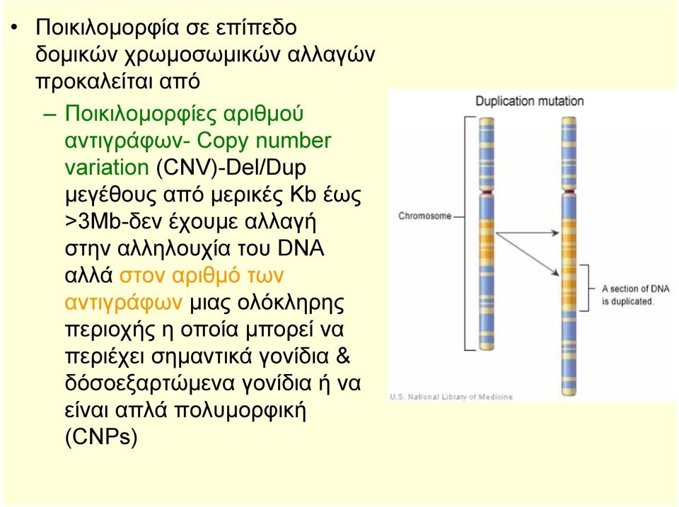 αλλαγή στην αλληλουχία του DNA αλλά στον αριθμό των αντιγράφων μιας ολόκληρης περιοχής η οποία
