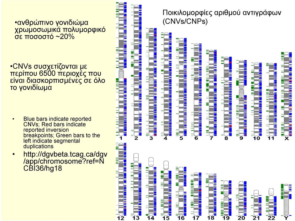 γονιδίωμα Blue bars indicate reported CNVs; Red bars indicate reported inversion breakpoints;