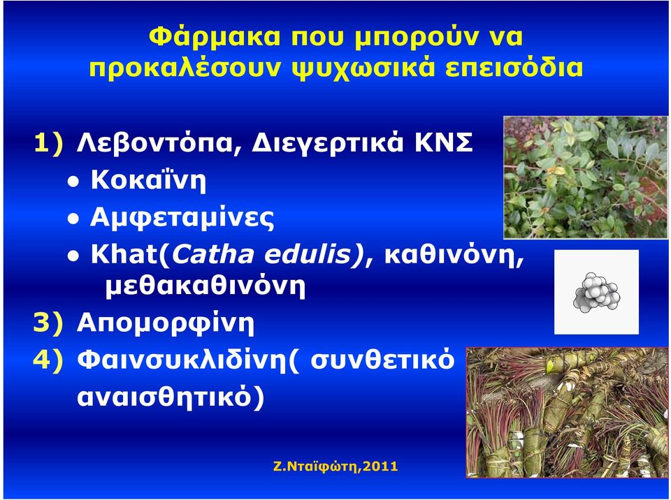 Αμφεταμίνες Khat(Catha edulis), καθινόνη,