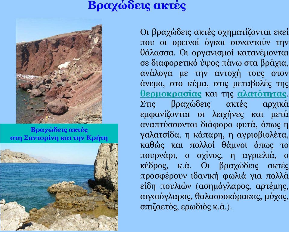 Στις βραχώδεις ακτές αρχικά εμφανίζονται οι λειχήνες και μετά αναπτύσσονται διάφορα φυτά, όπως η γαλατσίδα, η κάπαρη, η αγριοβιολέτα, καθώς και πολλοί θάμνοι όπως το