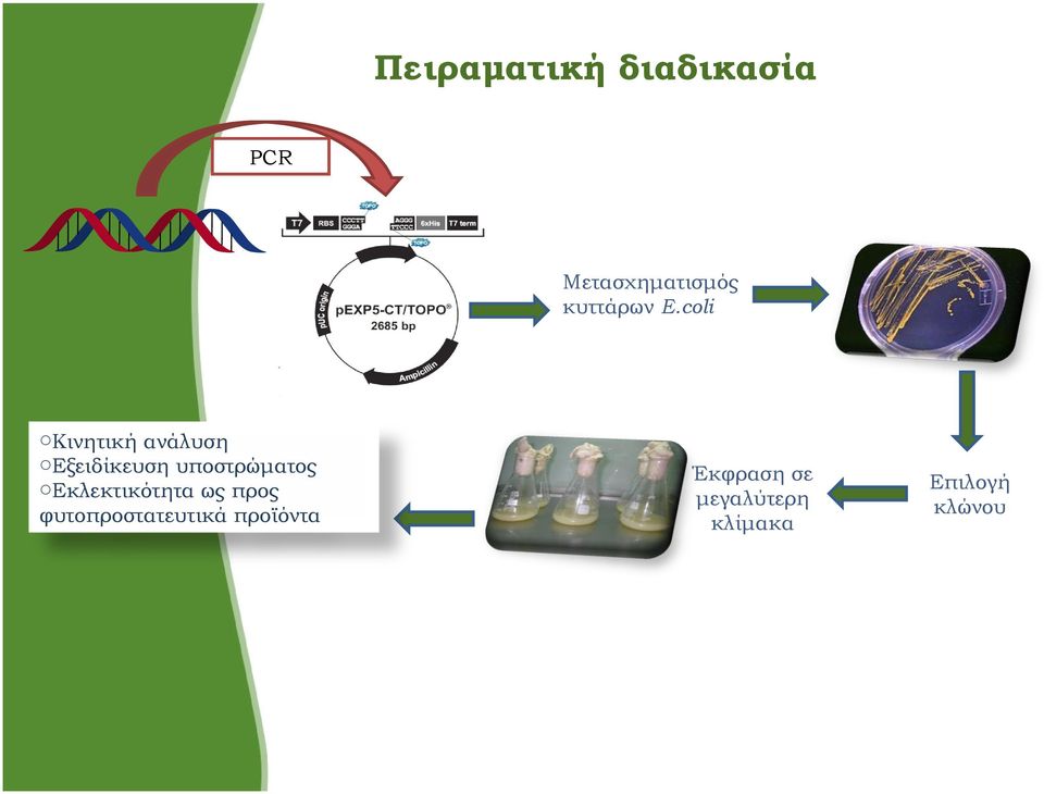 coli oκινητική ανάλυση oεξειδίκευση υποστρώματος