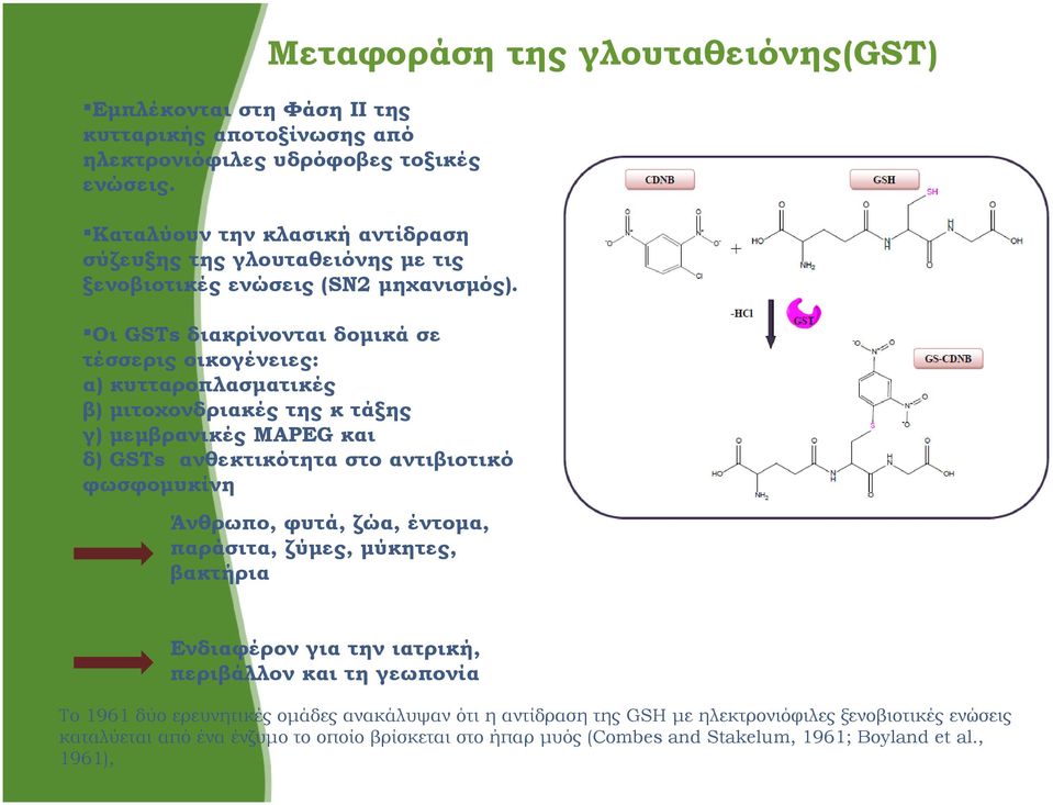 Οι GSTs διακρίνονται δομικά σε τέσσερις οικογένειες: α) κυτταροπλασματικές β) μιτοχονδριακές της κ τάξης γ) μεμβρανικές MAPEG και δ) GSTs ανθεκτικότητα στο αντιβιοτικό φωσφομυκίνη