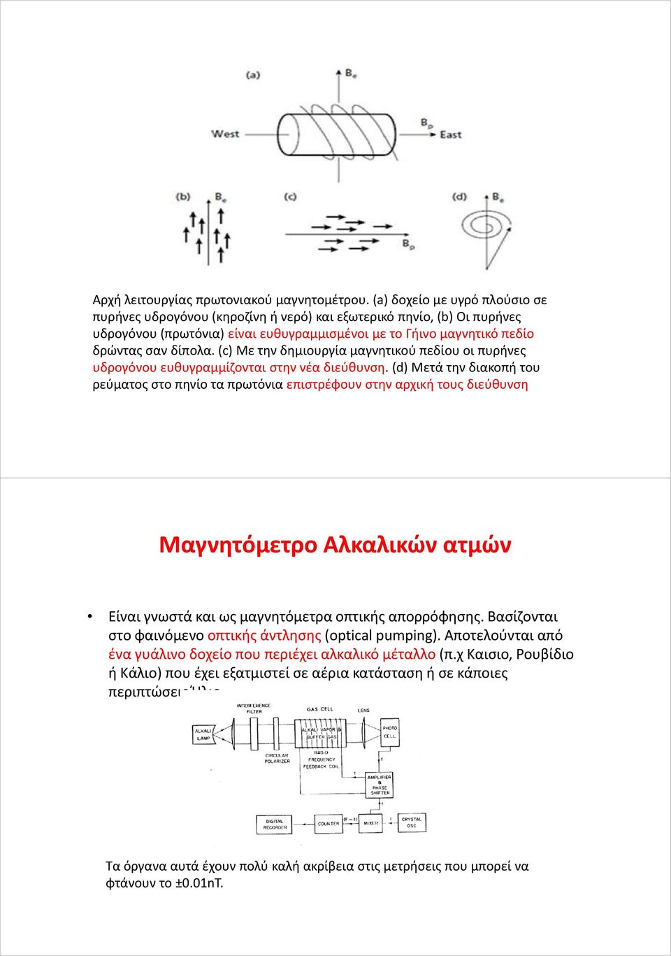 (c) Με την δημιουργία μαγνητικού πεδίου οι πυρήνες υδρογόνου ευθυγραμμίζονται στην νέα διεύθυνση.