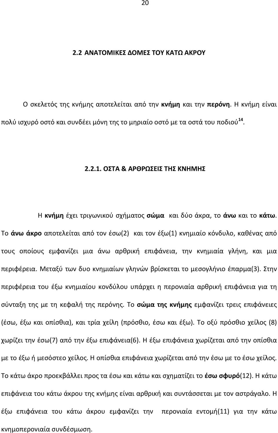 Το άνω άκρο αποτελείται από τον έσω(2) και τον έξω(1) κνημιαίο κόνδυλο, καθένας από τους οποίους εμφανίζει μια άνω αρθρική επιφάνεια, την κνημιαία γλήνη, και μια περιφέρεια.