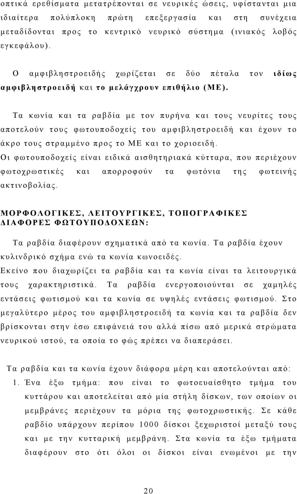 Τα κωνία και τα ραβδία με τον πυρήνα και τους νευρίτες τους αποτελούν τους φωτουποδοχείς του αμφιβληστροειδή και έχουν το άκρο τους στραμμένο προς το ΜΕ και το χοριοειδή.