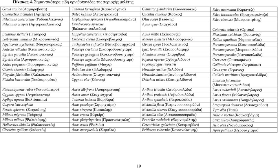 (Αρτέμης) Buteo rufinus (Αετογερακίνα) Cuculus canorus (Κούκος) Falco tinnunculus (Βραχοκιρκίνεζο) Pelecanus onocrotalus (Ροδοπελεκάνος) Hoplopterus spinosus (Αγκαθοκαλημάνα) Otus scops (Γκιώνης)