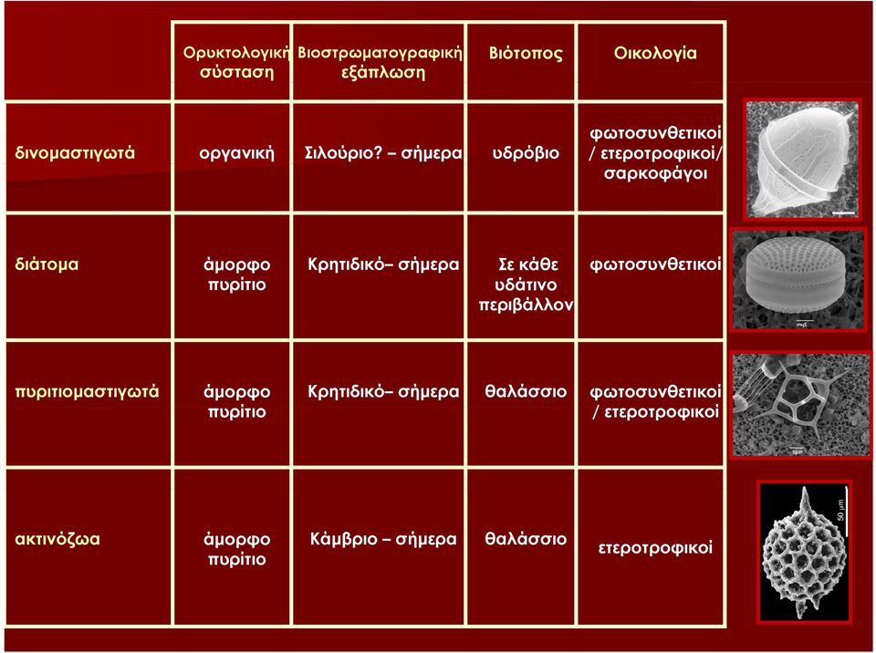 σήμερα υδρόβιο φωτοσυνθετικοί / ετεροτροφικοί/ σαρκοφάγοι διάτομα άμορφο πυρίτιο Κρητιδικό σήμερα