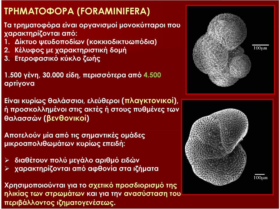 500 αρτίγονα Είναι κυρίως θαλάσσιοι, ελεύθεροι (πλαγκτονικοί), γ ή προσκολλημένοι στις ακτές ή στους πυθμένες των θαλασσών (βενθονικοί) Αποτελούν μία από τις