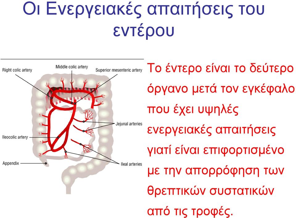 ενεργειακές απαιτήσεις γιατί είναι επιφορτισµένο µε