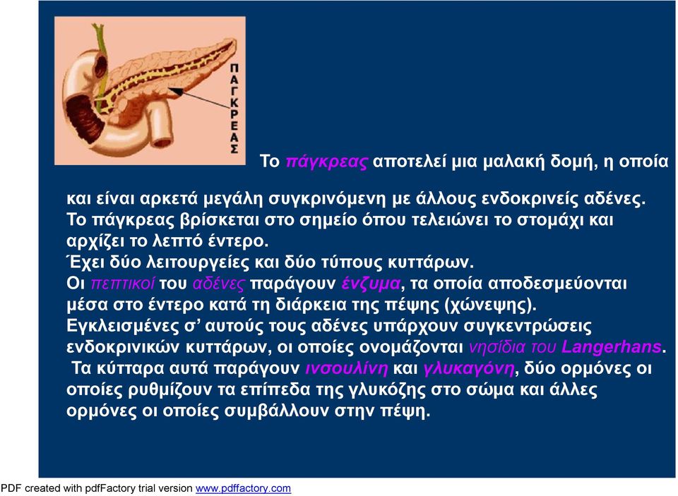 Οι πεπτικοί του αδένες παράγουν ένζυμα, τα οποία αποδεσμεύονται μέσα στο έντερο κατά τη διάρκεια της πέψης (χώνεψης).