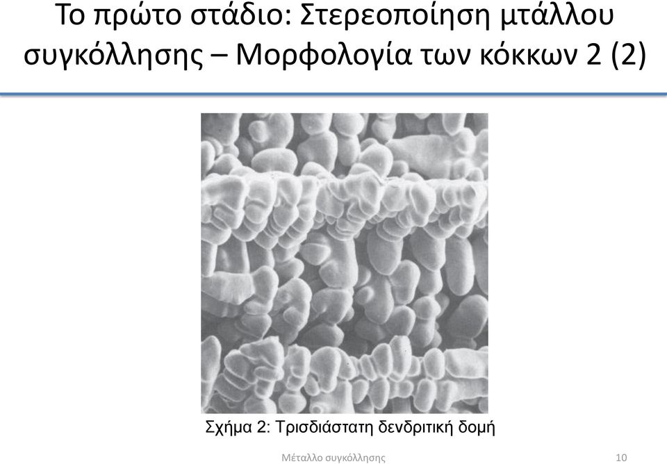 κόκκων 2 (2) Σχήμα 2: Τρισδιάστατη