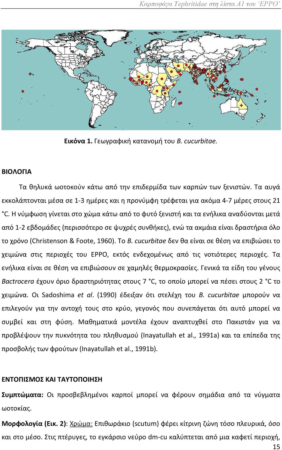 Η νύμφωση γίνεται στο χώμα κάτω από το φυτό ξενιστή και τα ενήλικα αναδύονται μετά από 1-2 εβδομάδες (περισσότερο σε ψυχρές συνθήκες), ενώ τα ακμάια είναι δραστήρια όλο το χρόνο (Christenson & Foote,