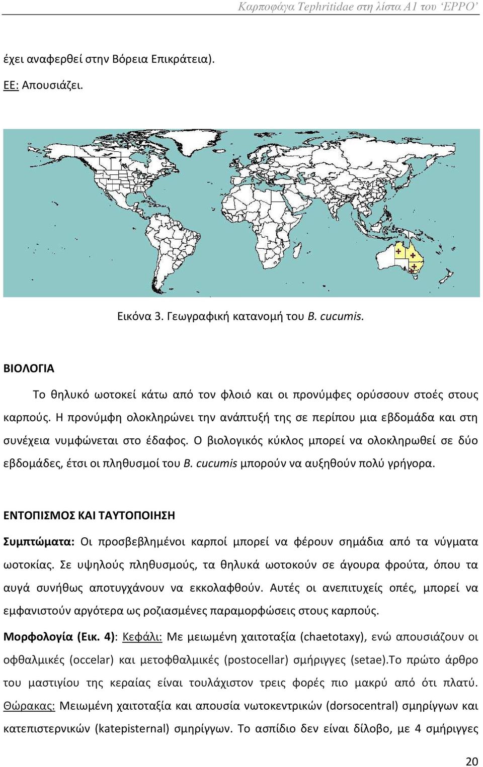 cucumis μπορούν να αυξηθούν πολύ γρήγορα. ΕΝΤΟΠΙΣΜΟΣ ΚΑΙ ΤΑΥΤΟΠΟΙΗΣΗ Συμπτώματα: Οι προσβεβλημένοι καρποί μπορεί να φέρουν σημάδια από τα νύγματα ωοτοκίας.