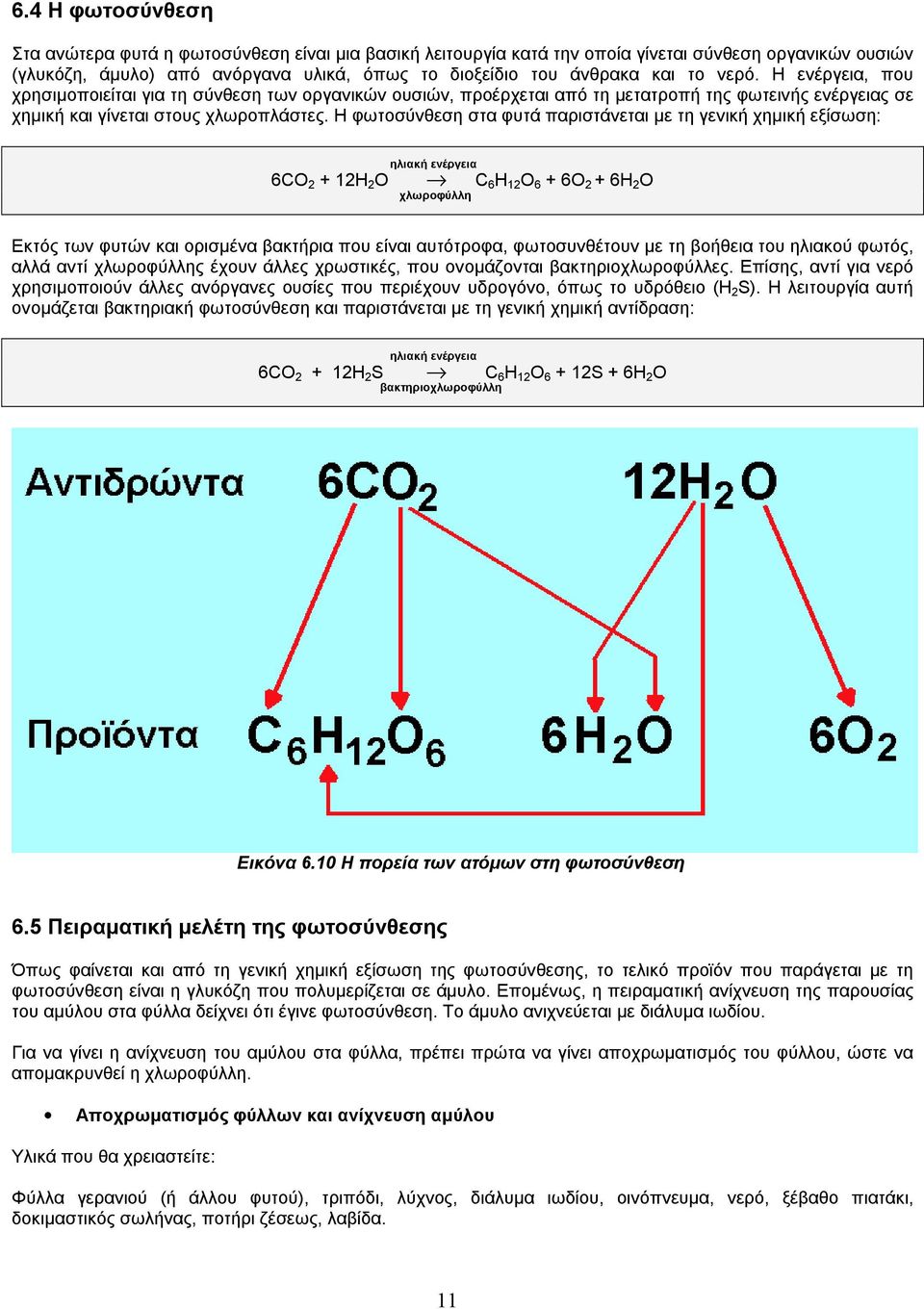 Η φωτοσύνθεση στα φυτά παριστάνεται µε τη γενική χηµική εξίσωση: ηλιακή ενέργεια 6CO 2 + 12H 2 O C 6 H 12 O 6 + 6O 2 + 6H 2 O χλωροφύλλη Εκτός των φυτών και ορισµένα βακτήρια που είναι αυτότροφα,