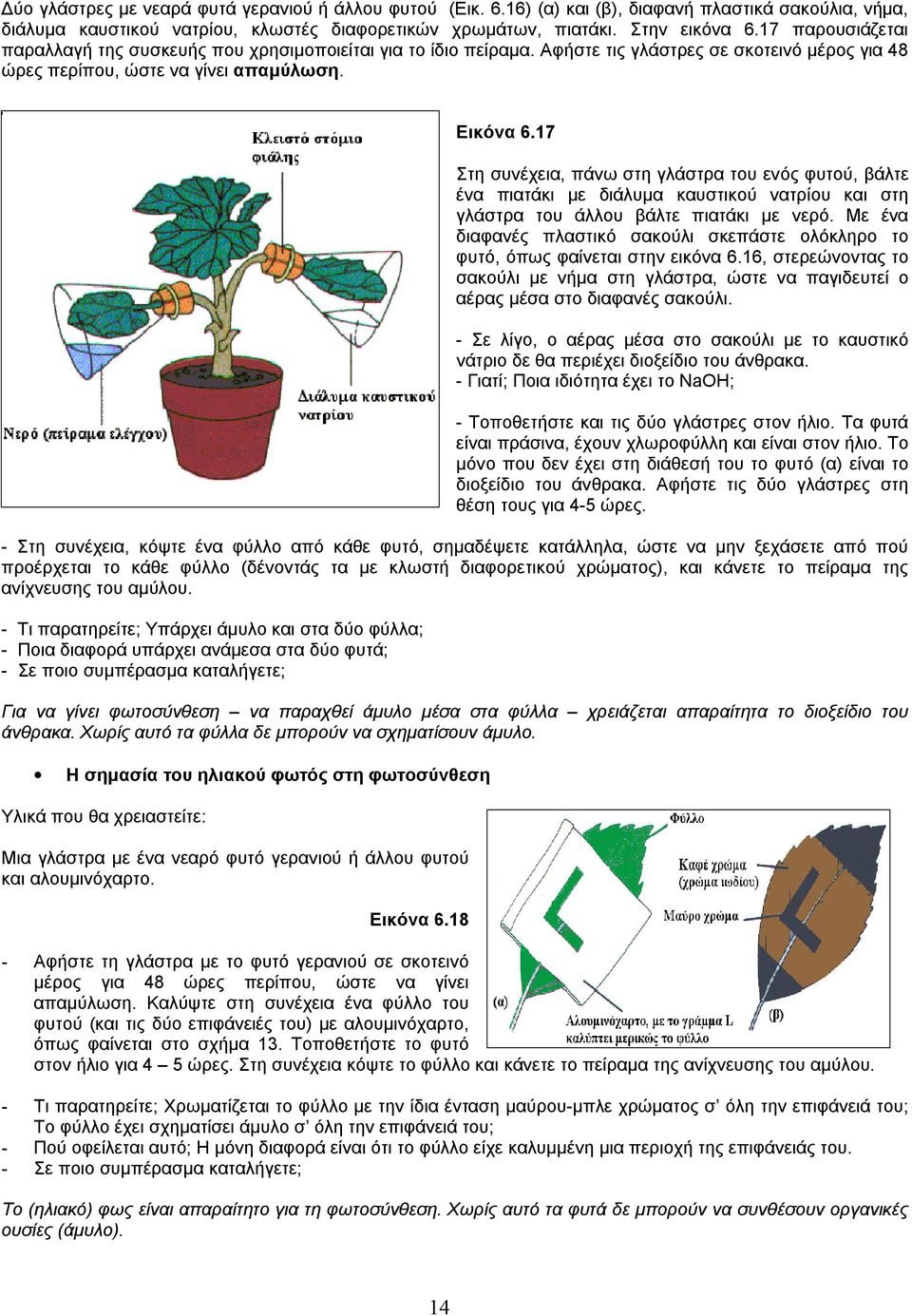 17 Στη συνέχεια, πάνω στη γλάστρα του ενός φυτού, βάλτε ένα πιατάκι µε διάλυµα καυστικού νατρίου και στη γλάστρα του άλλου βάλτε πιατάκι µε νερό.