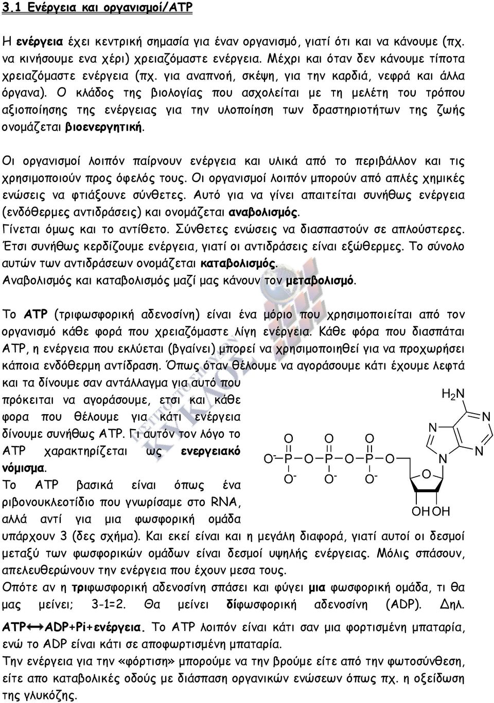 Ο κλάδος της βιολογίας που ασχολείται µε τη µελέτη του τρόπου αξιοποίησης της ενέργειας για την υλοποίηση των δραστηριοτήτων της ζωής ονοµάζεται βιοενεργητική.