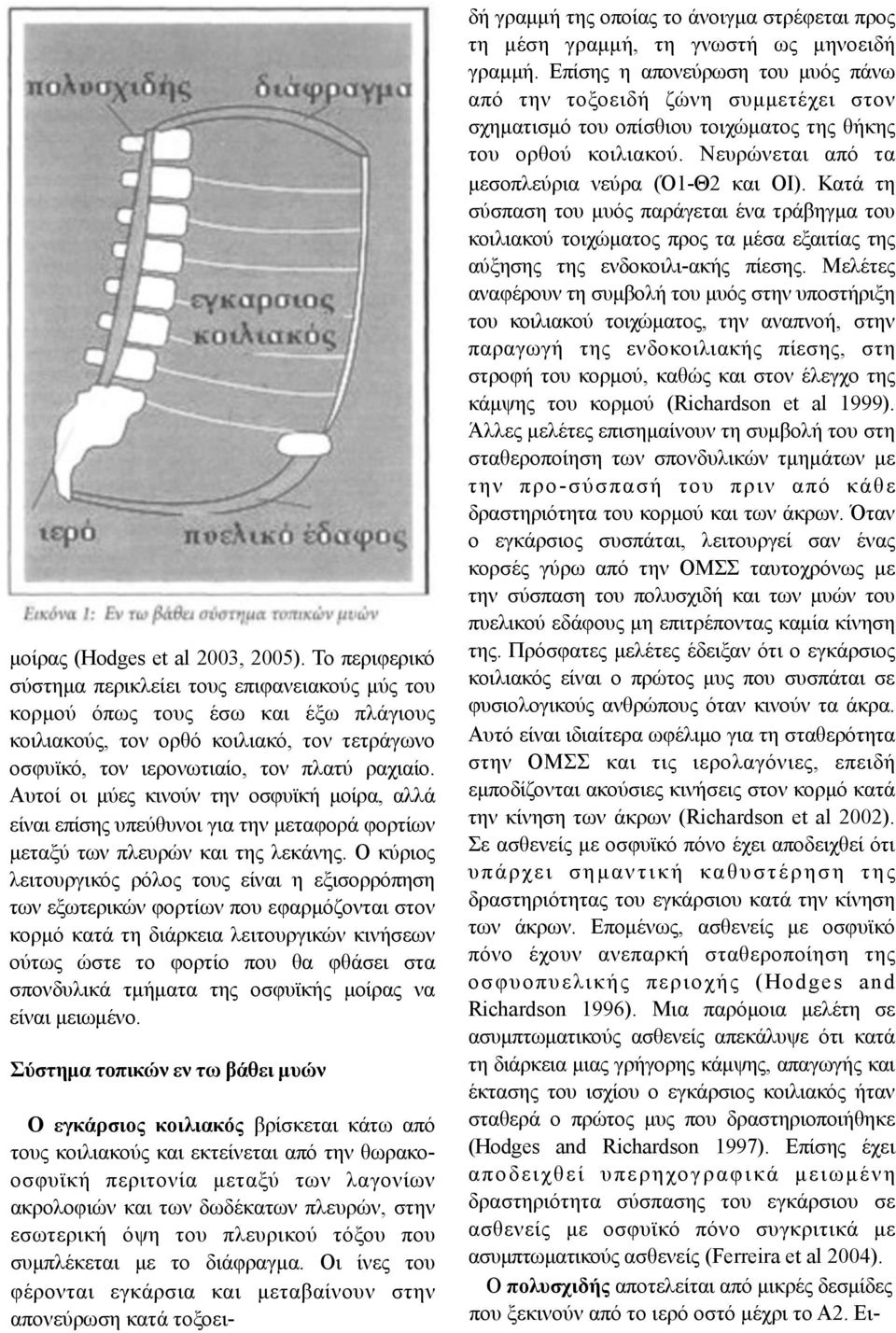 Αυτοί οι µύες κινούν την οσφυϊκή µοίρα, αλλά είναι επίσης υπεύθυνοι για την µεταφορά φορτίων µεταξύ των πλευρών και της λεκάνης.