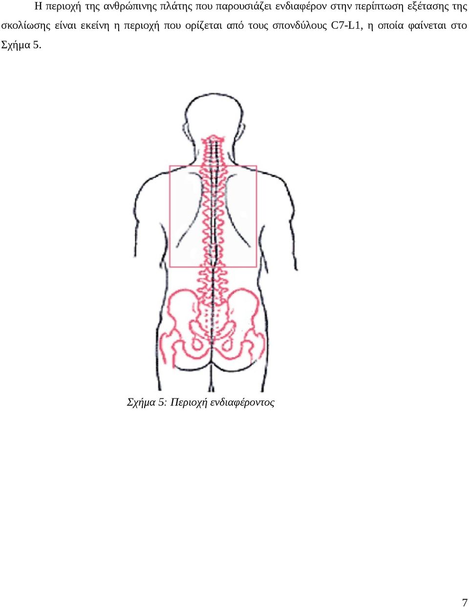 εκείνη η περιοχή που ορίζεται από τους σπονδύλους