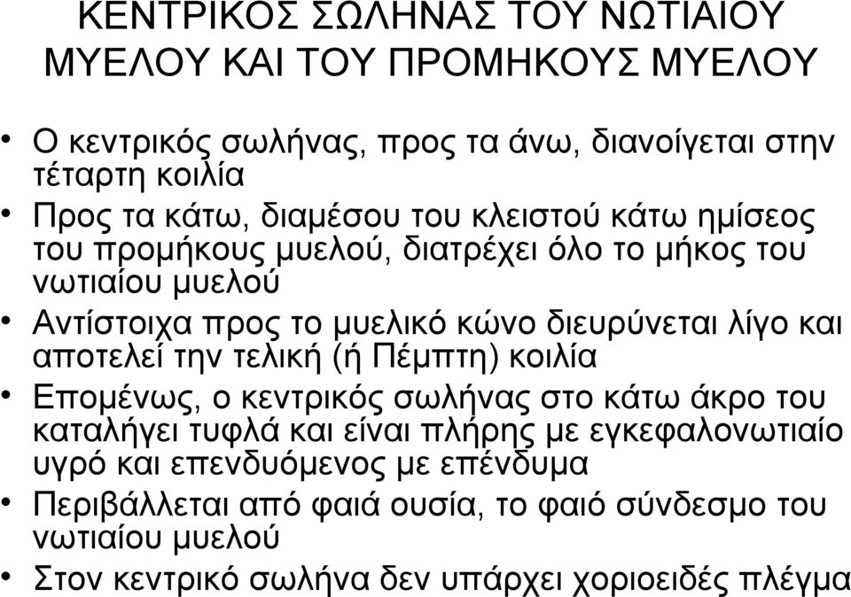 λίγο και αποτελεί την τελική (ή Πέμπτη) κοιλία Επομένως, ο κεντρικός σωλήνας στο κάτω άκρο του καταλήγει τυφλά και είναι πλήρης με