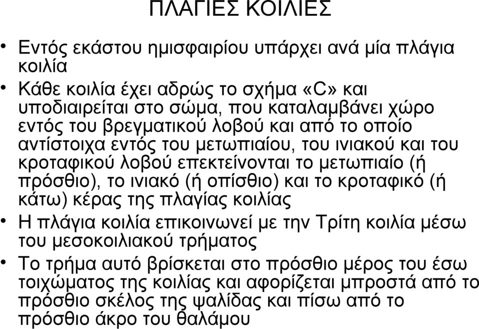 ινιακό (ή οπίσθιο) και το κροταφικό (ή κάτω) κέρας της πλαγίας κοιλίας Η πλάγια κοιλία επικοινωνεί με την Τρίτη κοιλία μέσω του μεσοκοιλιακού τρήματος Το τρήμα