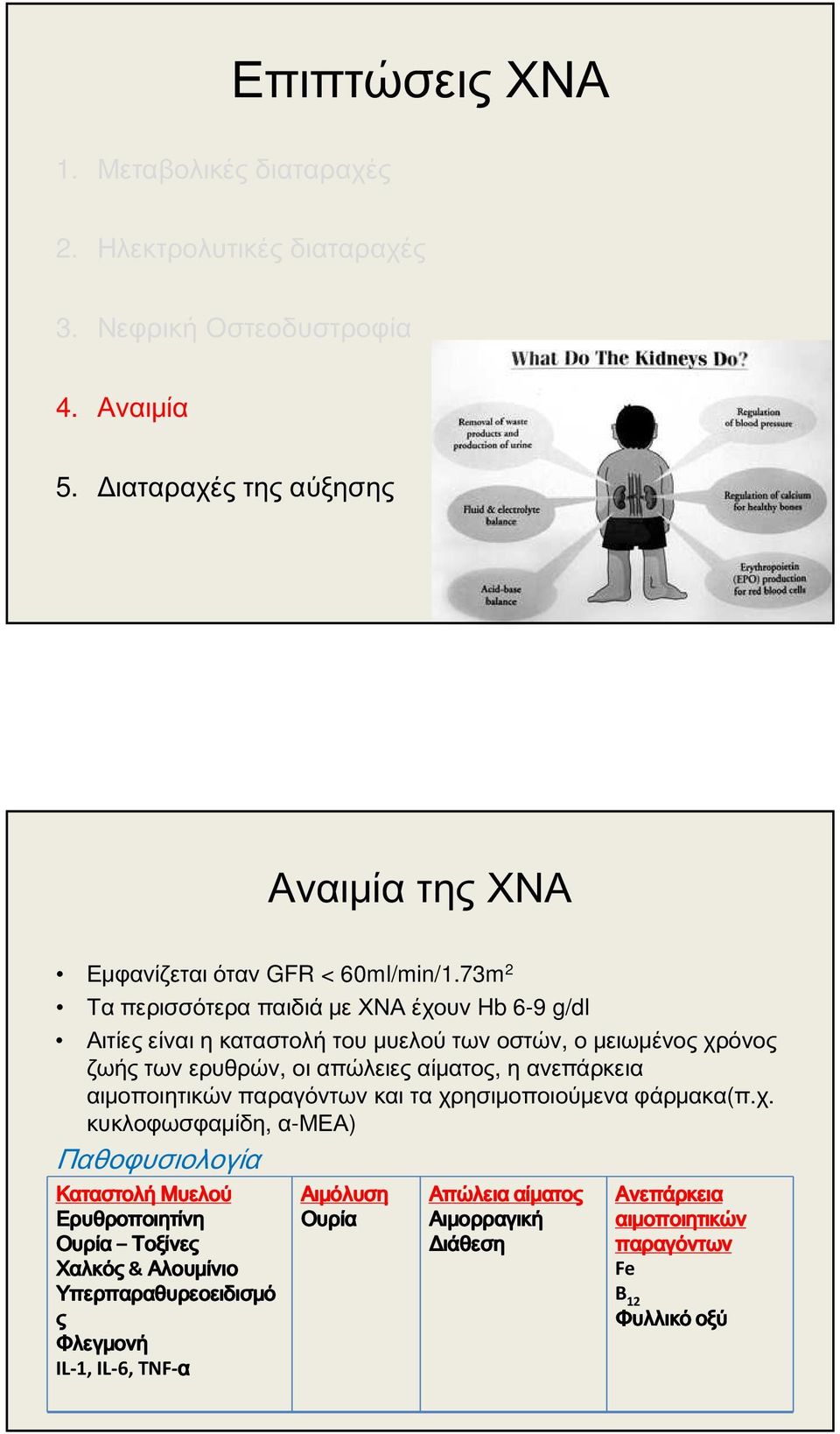 73m 2 Τα περισσότερα παιδιά με ΧΝΑ έχουν Hb 6-9 g/dl Αιτίες είναι η καταστολή του μυελού των οστών, ο μειωμένος χρόνος ζωής των ερυθρών, οι απώλειες αίματος, η