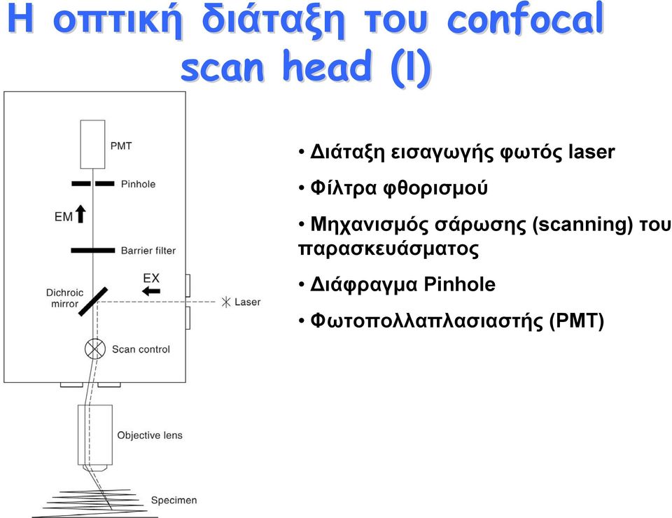 φθορισμού Μηχανισμός σάρωσης (scanning) του