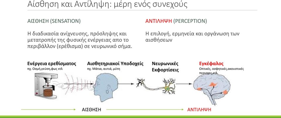 ΑΝΤΙΛΗΨΗ (PERCEPTION) Η επιλογή, ερμηνεία και οργάνωση των αισθήσεων Ενέργεια ερεθίσματος πχ.